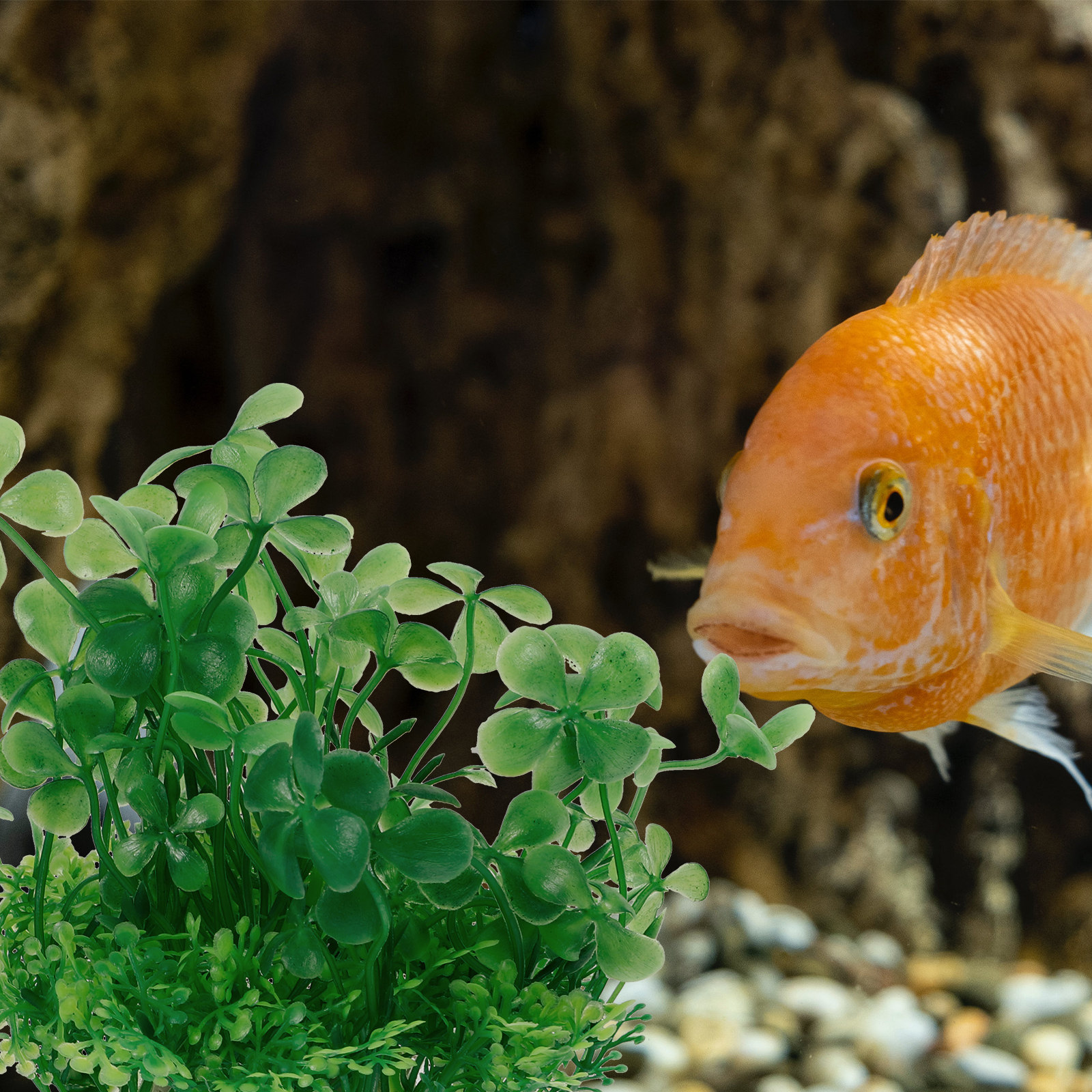 Aquarium Planted Setup - Premium Plastic Aquarium Plants Realistic Simulation