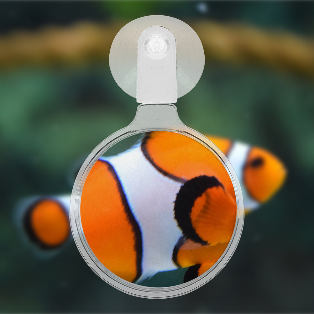 Planted Aquarium For Betta - 2Pcs Aquarium Magnifying Glass Suction Cup