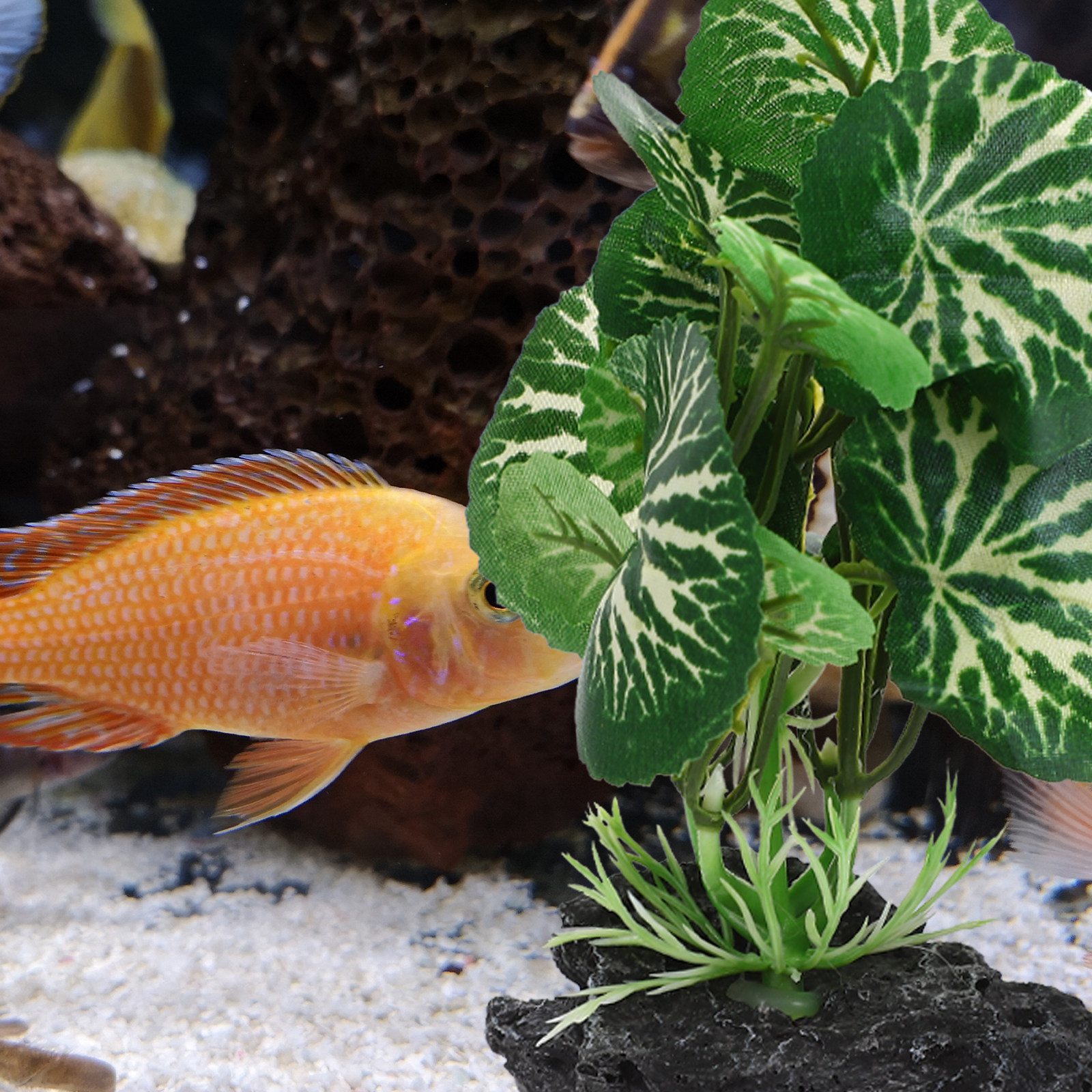 Planted Aquarium Models - 1Set Delicate Simulated Aquarium Plant and