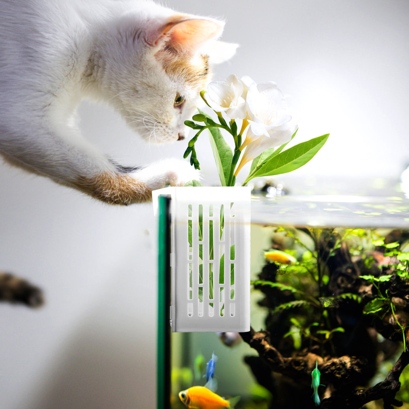 Aquarium Planted Setup - 2Pcs Aquatic Plant Holder Hanging Aquarium