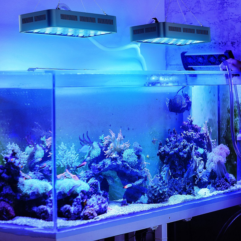 Planted Aquarium Models - Wifi Control Coral Reef 165w Dimmable