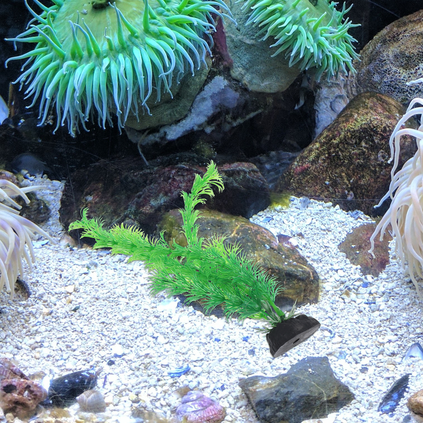 12pcs Plastic Aquarium Plants  - Planted Aquarium Models recension och pris