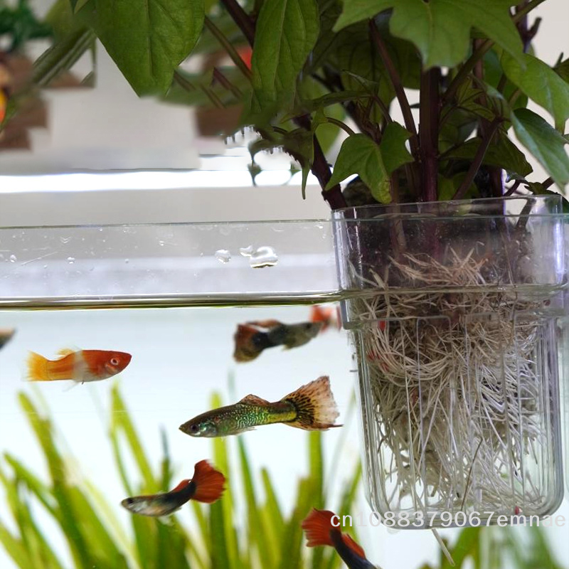 Wall-Mounted Transparent Hydro - Aquarium Planted Setup recension och pris