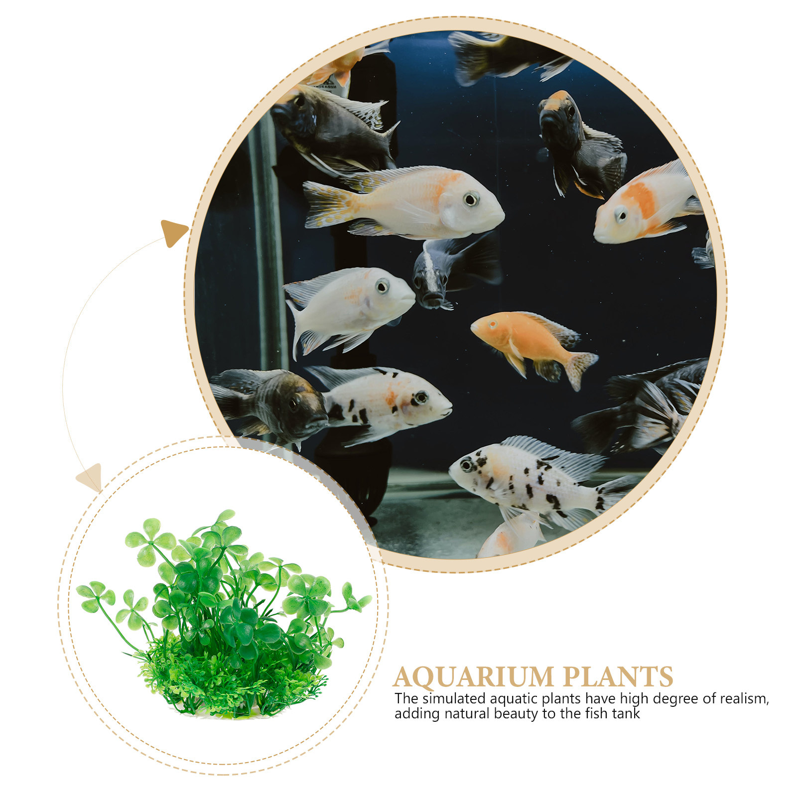 Premium Plastic Aquarium Plant - Aquarium Planted Setup recension och pris