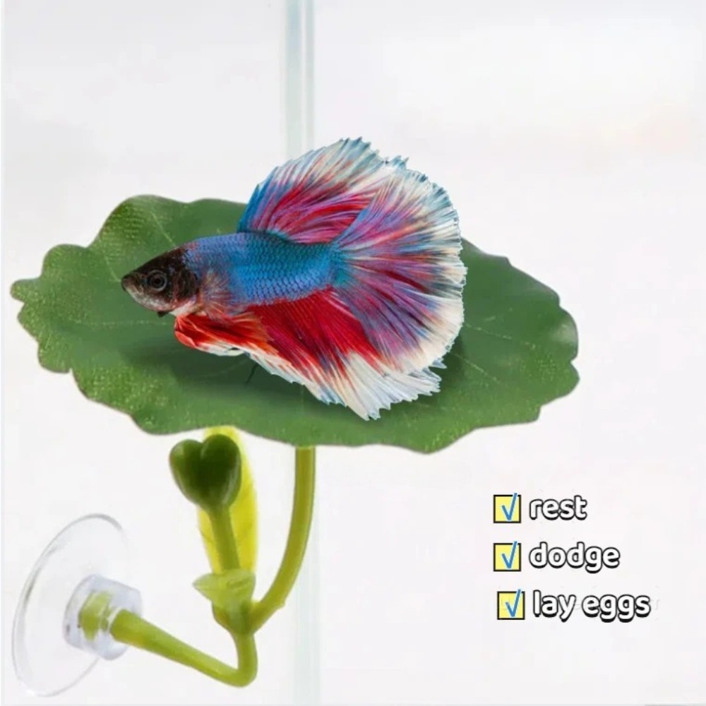 Lotus leaf Betta Fish Hammock  - Planted Aquarium For Betta recension och pris