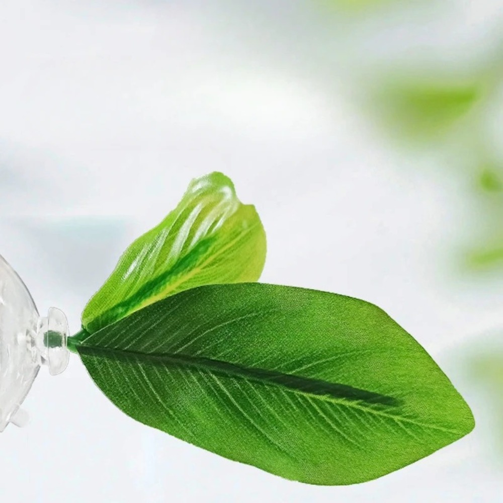 Lotus leaf Betta Fish Hammock  - Planted Aquarium For Betta recension och pris
