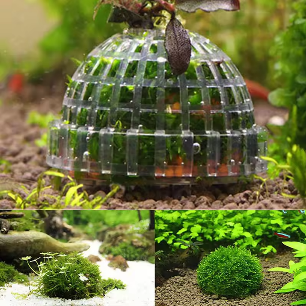 Plastic Aquarium Moss Ball Fil - Aquarium Plant Rings recension och pris