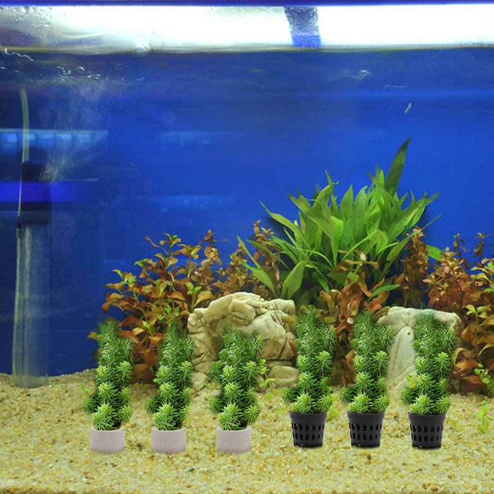 1Set Aquarium Water Plant Fixi - Aquarium Planted Setup recension och pris