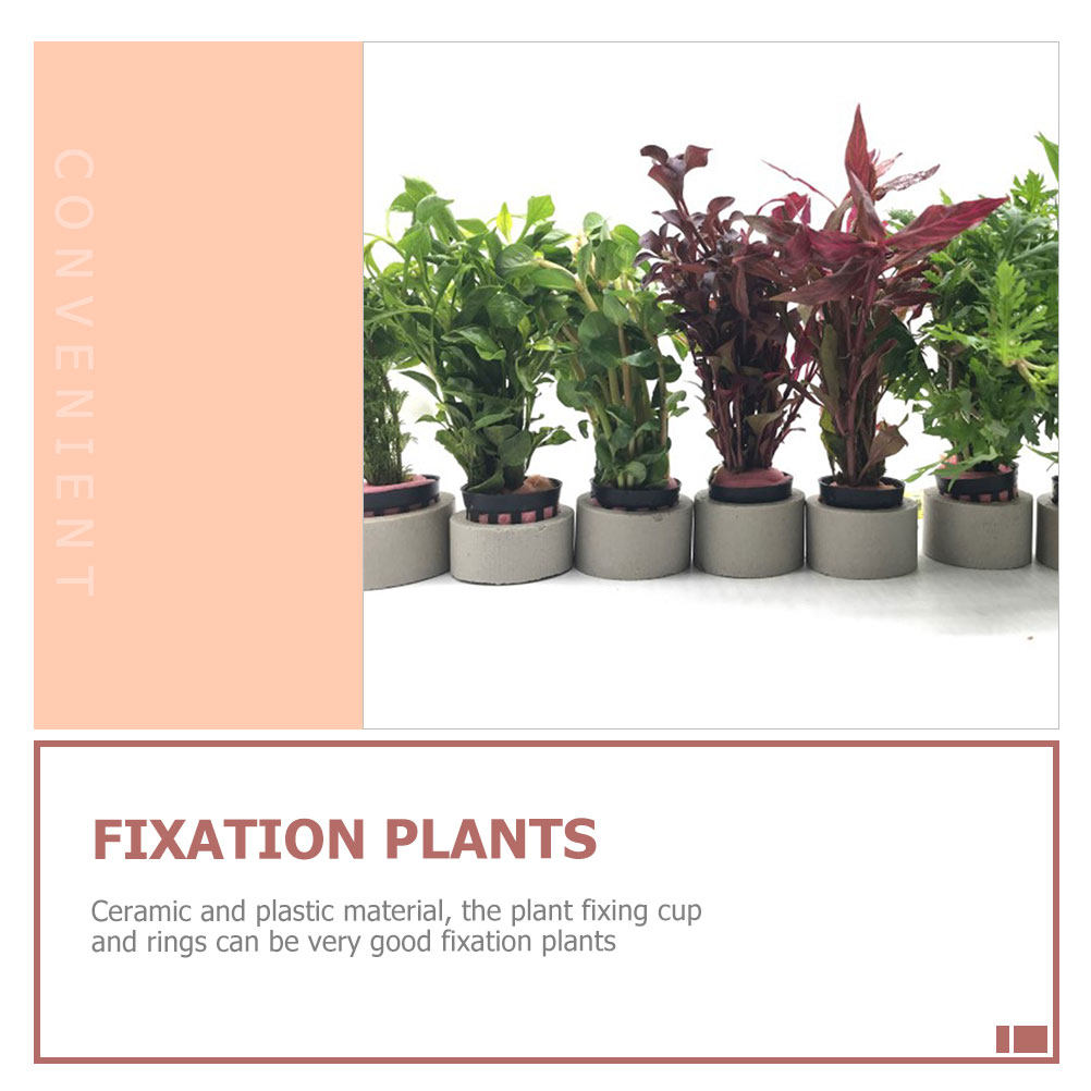 1Set Aquarium Water Plant Fixi - Aquarium Planted Setup recension och pris