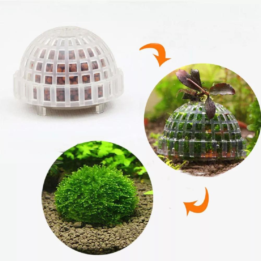 1pc Aquarium Moss Ball Holders - Planted Aquarium Models recension och pris
