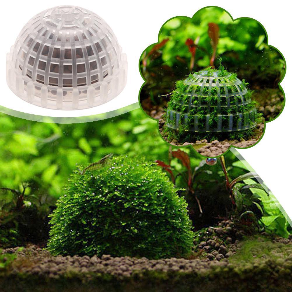 1pc Aquarium Moss Ball Holders - Planted Aquarium Models recension och pris