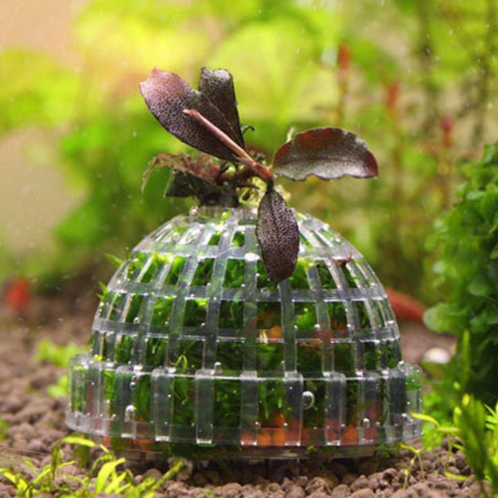 1pc Aquarium Moss Ball Holders - Planted Aquarium Models recension och pris
