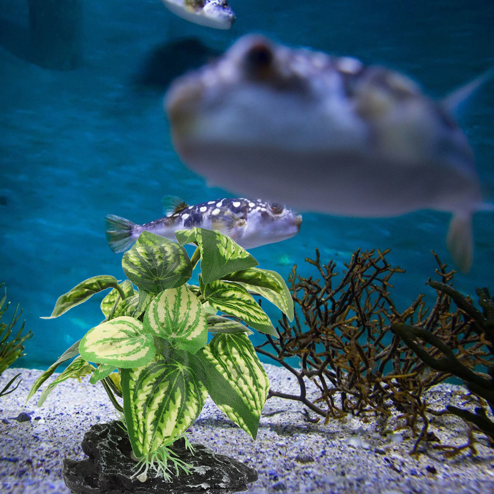 1Set Delicate Simulated Aquari - Planted Aquarium Models recension och pris