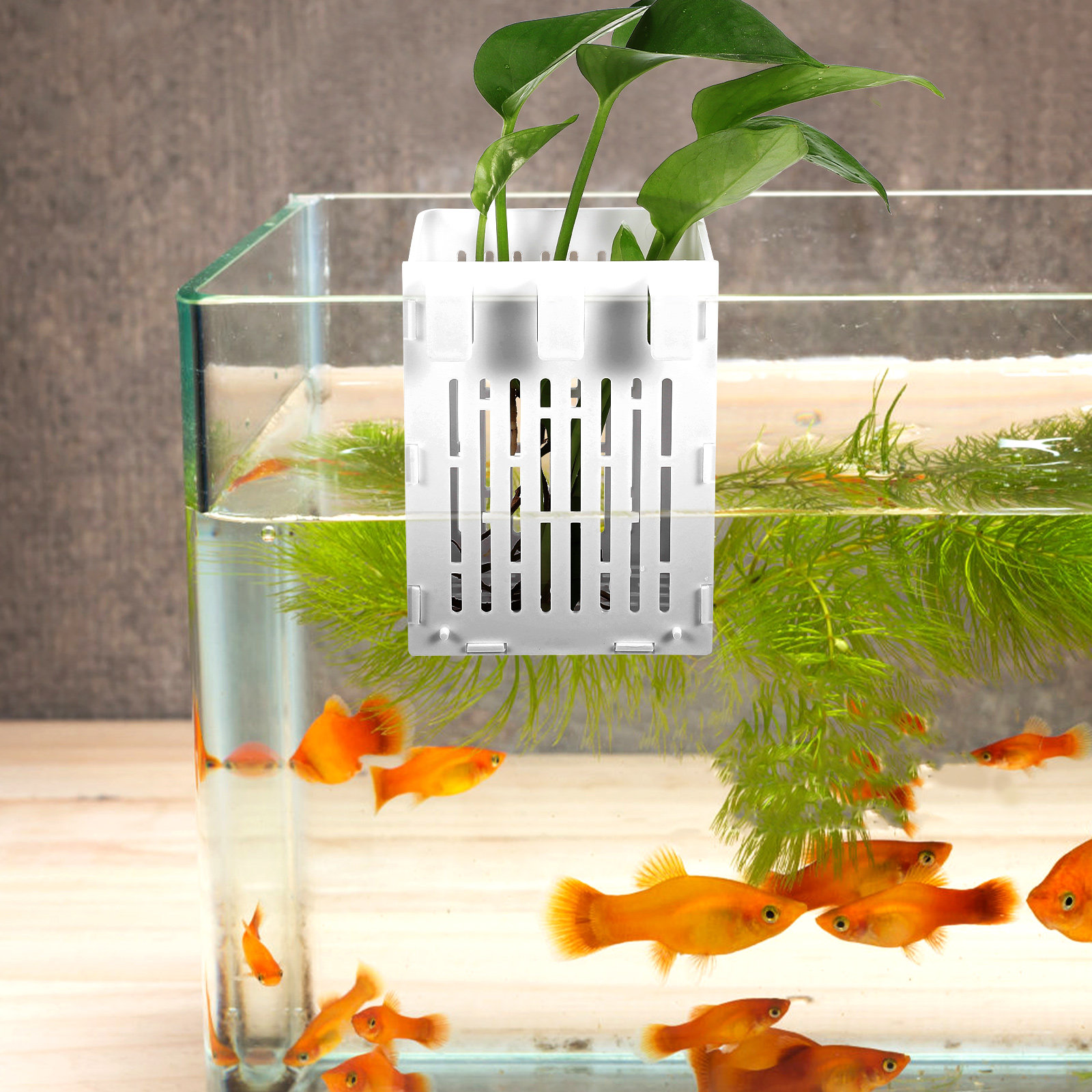2Pcs Aquatic Plant Holder Hang - Aquarium Planted Setup recension och pris