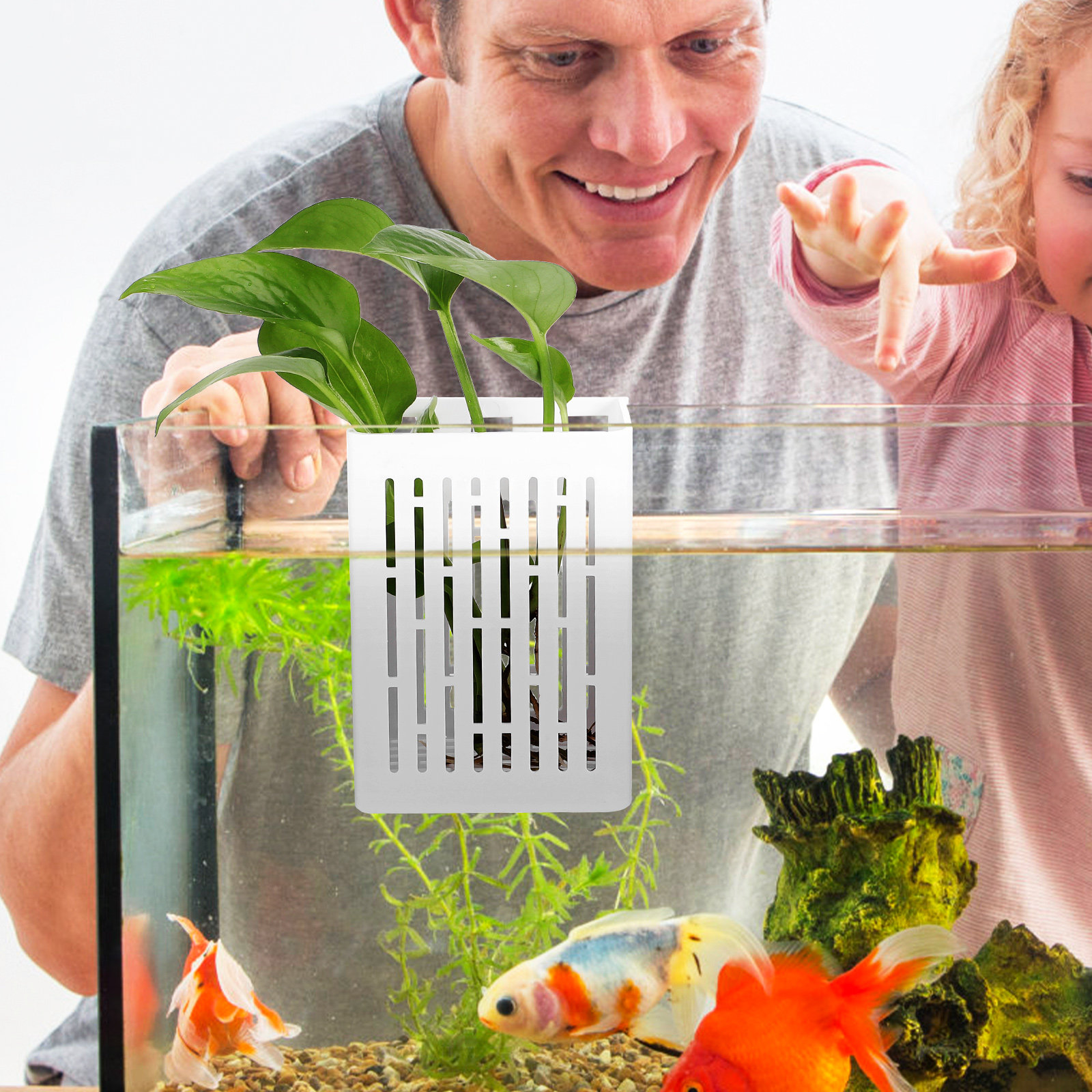 2Pcs Aquatic Plant Holder Hang - Aquarium Planted Setup recension och pris