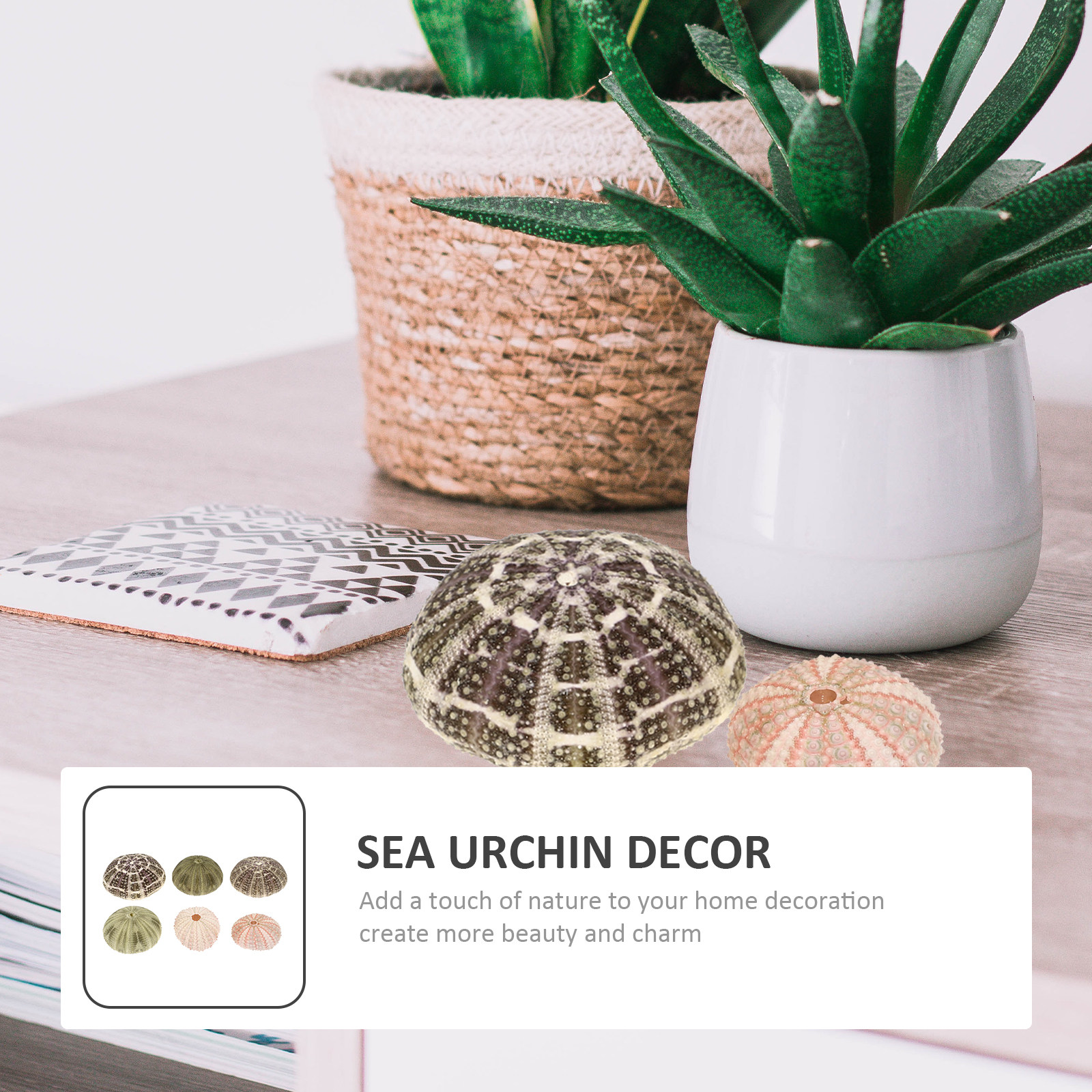 6Pcs Urchin Shell Ornament Air - Aquarium Planted Setup recension och pris