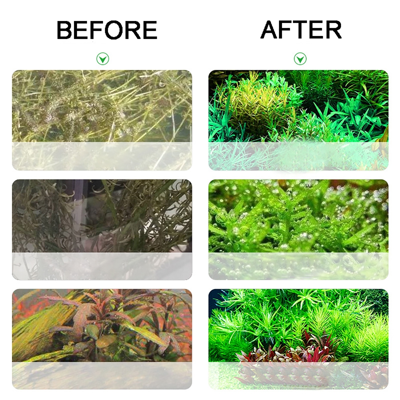 Aquarium CO2 Generator system  - Planted Aquarium Kit recension och pris