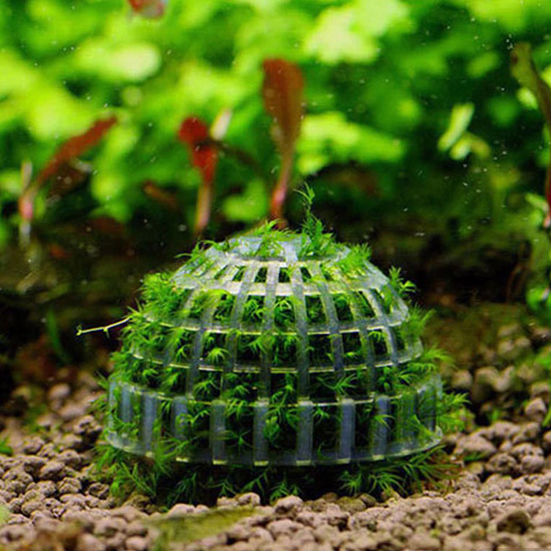 1pc Aquatic Pet Supplies Decor - Planted Aquarium Models recension och pris