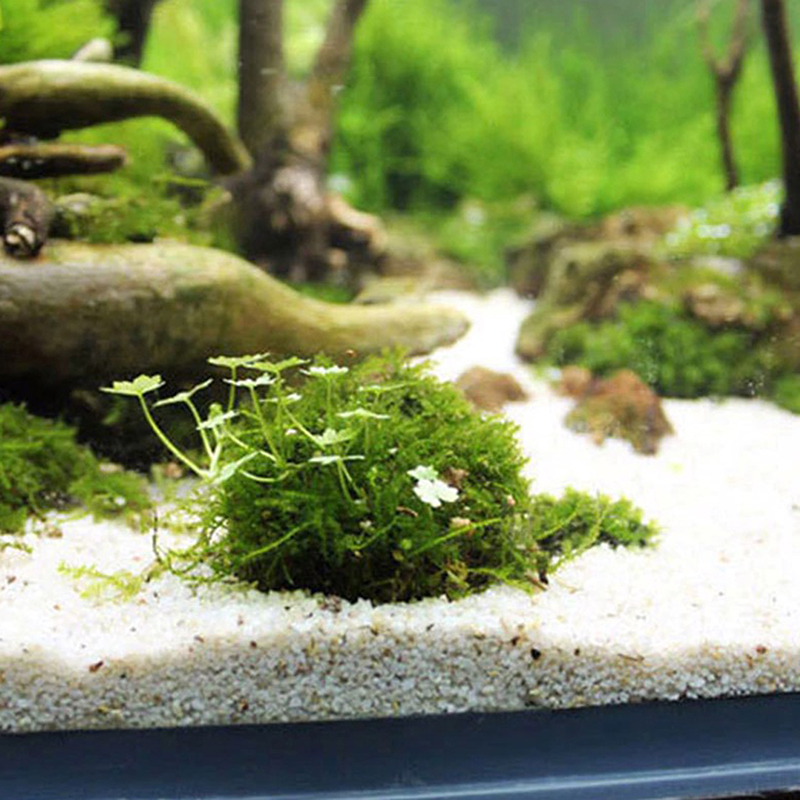 1pc Aquatic Pet Supplies Decor - Planted Aquarium Models recension och pris