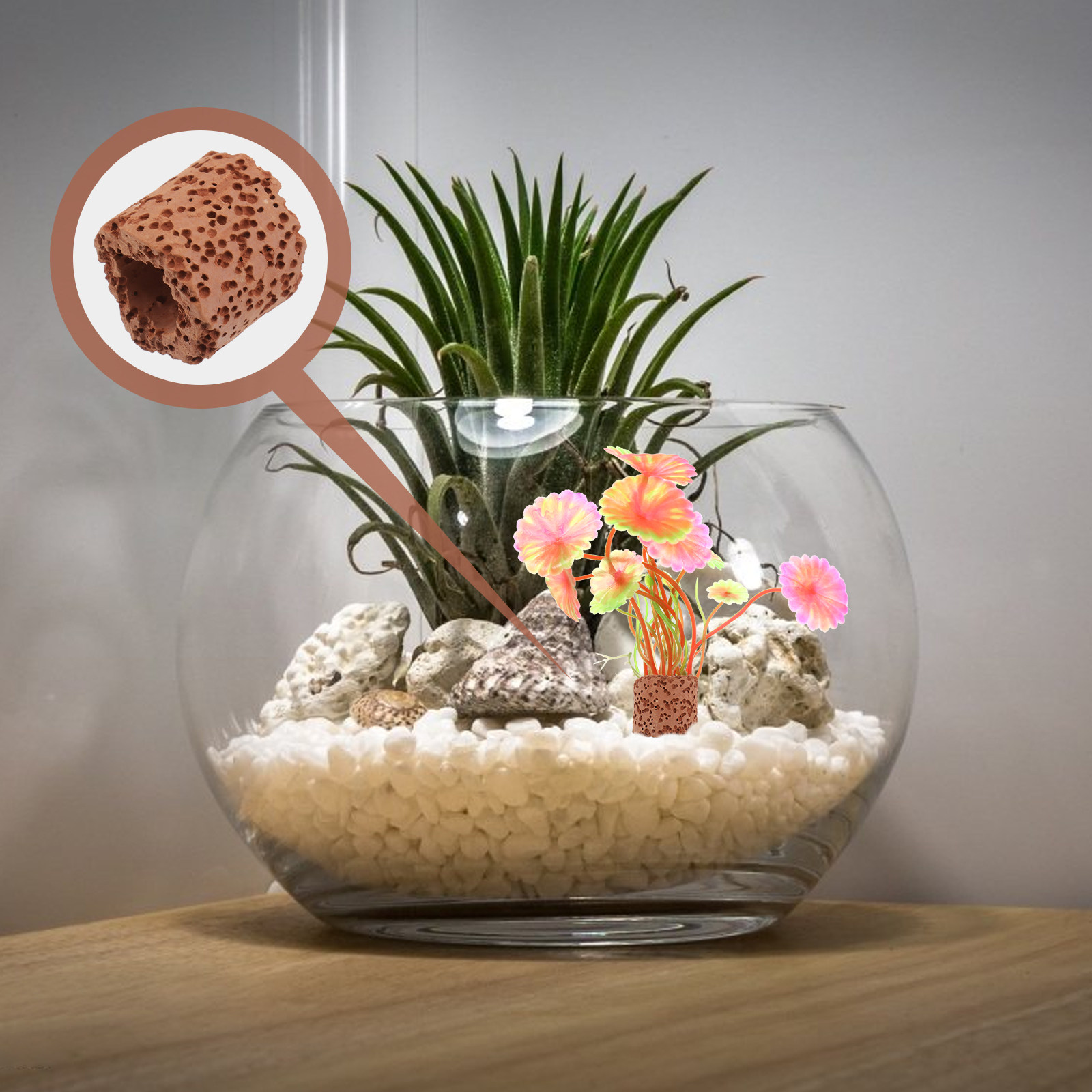 10Pcs Creative Water Plant Fix - Aquarium Planted Setup recension och pris