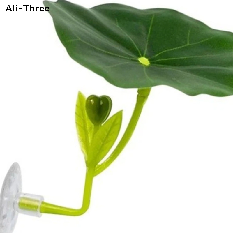 Green Leaf Hammock For Betta F - Planted Aquarium For Betta recension och pris