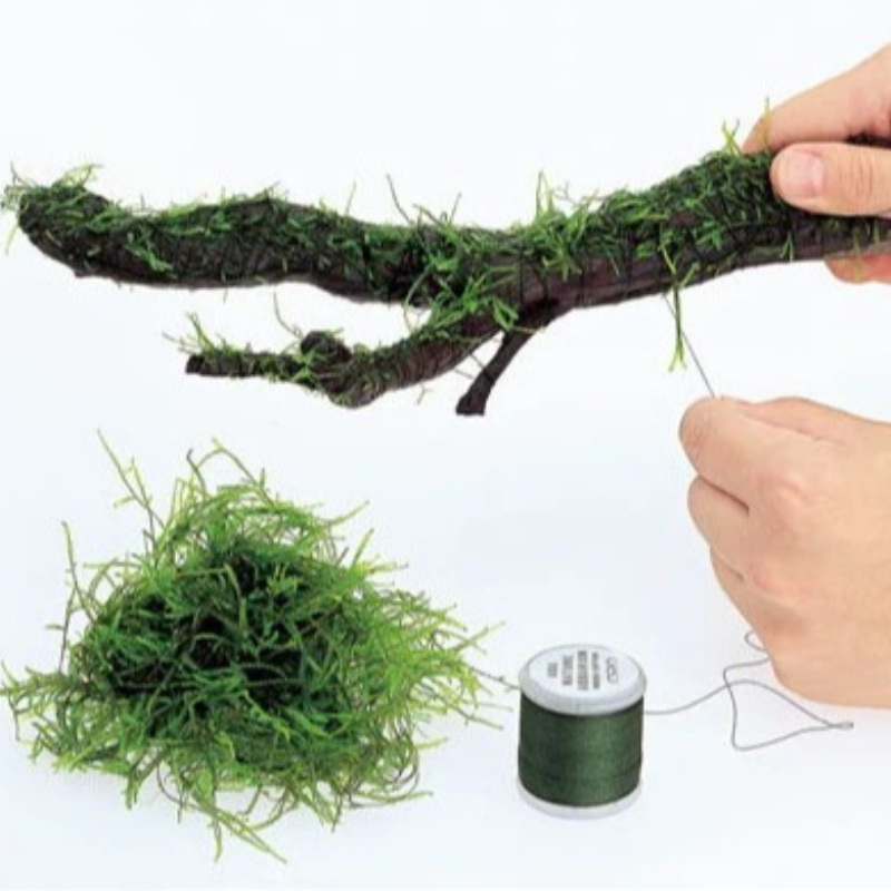 AQUA NEST 200m/roll Naturally  - Aquarium Plant Rings recension och pris