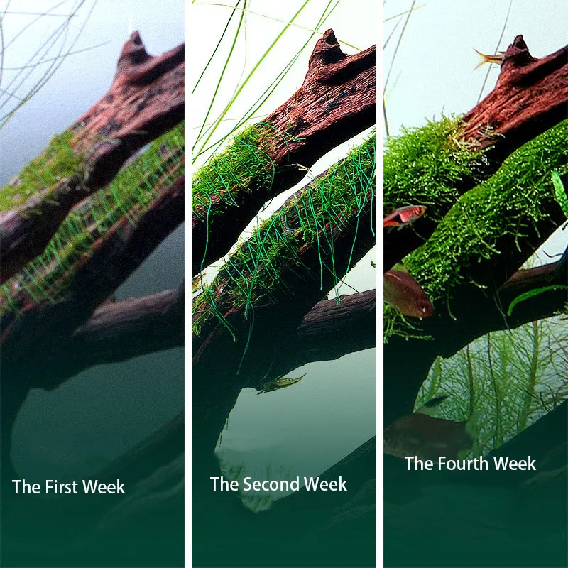 AQUA NEST 200m/roll Naturally  - Aquarium Plant Rings recension och pris
