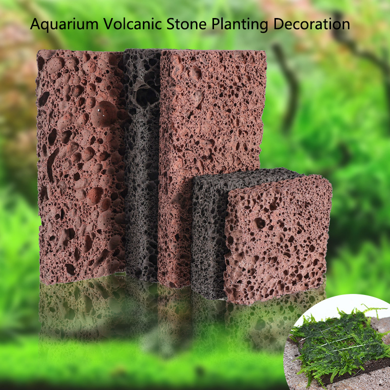 Volcanic Aquarium Decoration F - Aquarium Plant Rings recension och pris