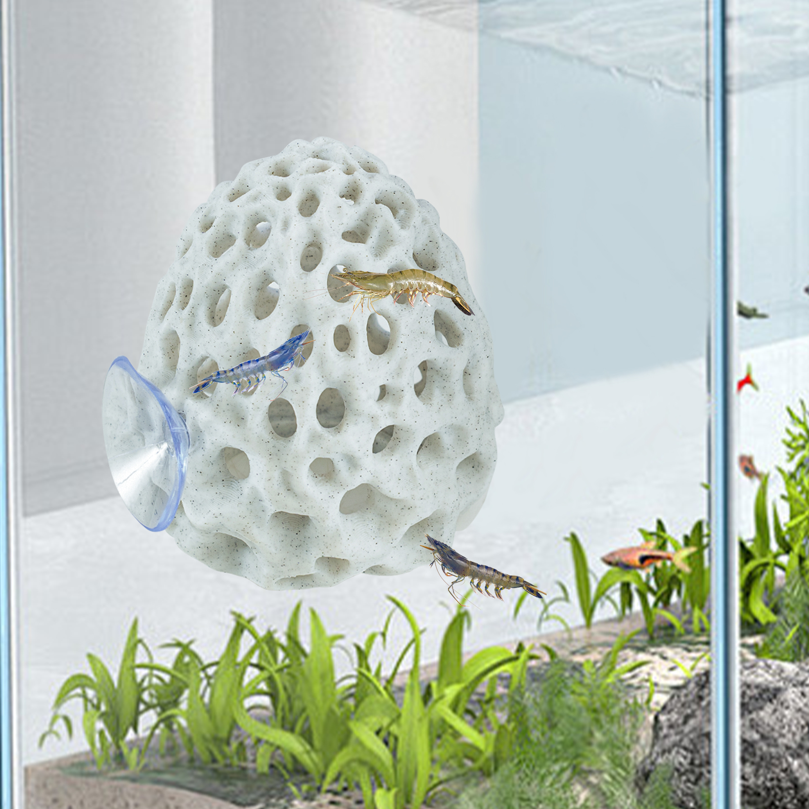 Shrimp Hides for Aquarium, Bet - Aquarium Plant Rings recension och pris