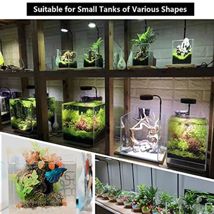 Aquarium Light Full Spectrum L - Planted Aquarium For Betta recension och pris