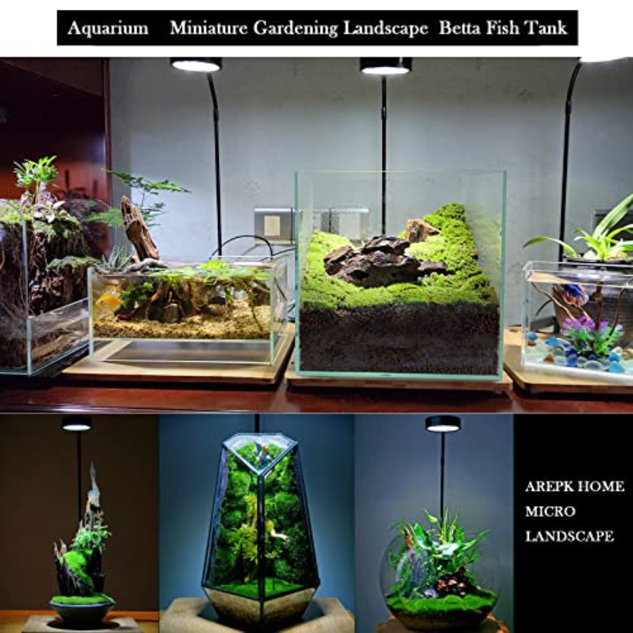 Aquarium Light Full Spectrum L - Planted Aquarium For Betta recension och pris