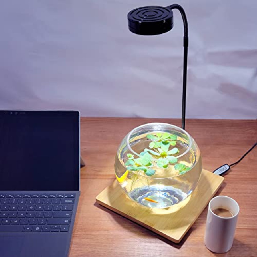 Aquarium Light Full Spectrum L - Planted Aquarium For Betta recension och pris