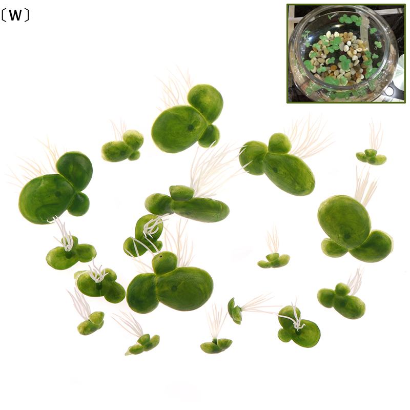 〔W〕18pcs/set Aquarium Fish Tan - Planted Aquarium Kit recension och pris