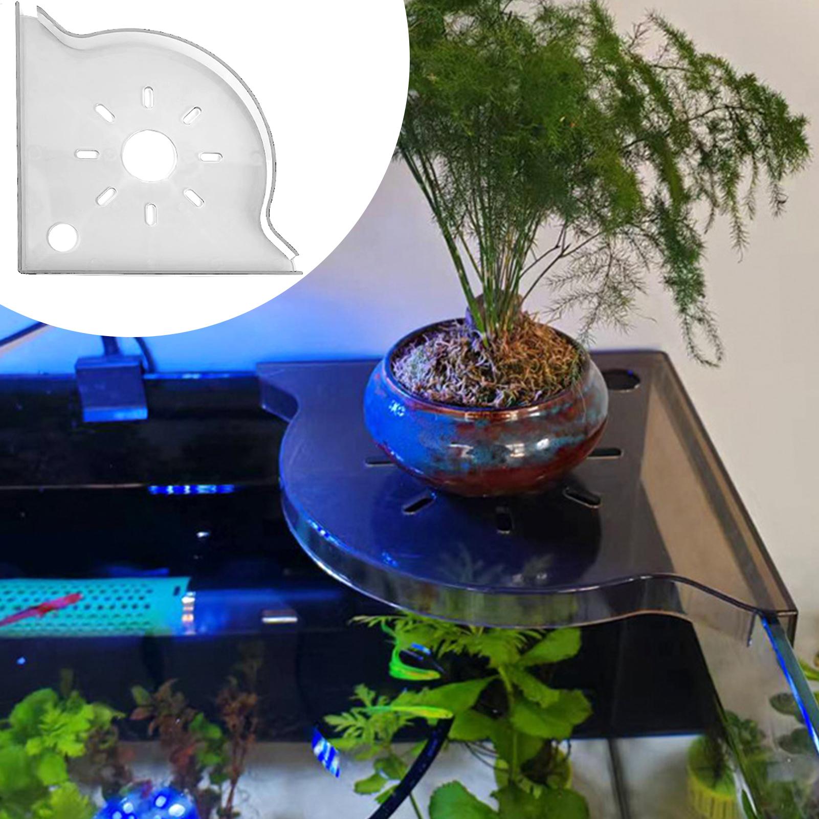 Aquarium Plant Holder Triangle - Planted Aquarium For Beginners recension och pris
