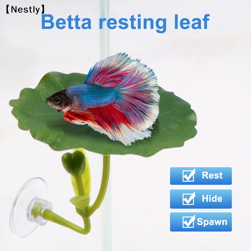 1Pc Green Leaf Hammock For Bet - Planted Aquarium For Betta recension och pris