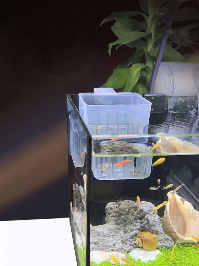 Aquarium Transparent Hydroponi - Aquarium Plant Rings recension och pris