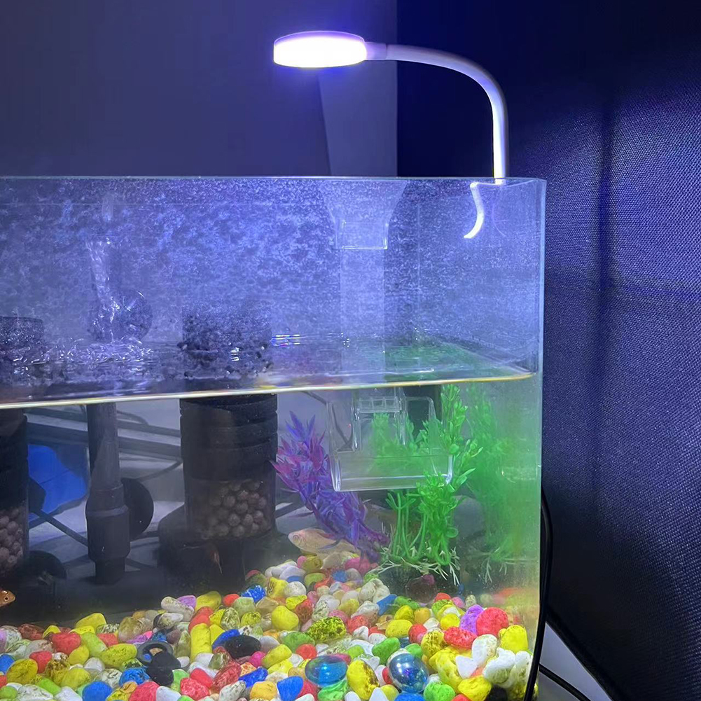 8W Aquarium Light Aquatic Plan - Planted Aquarium Kit recension och pris