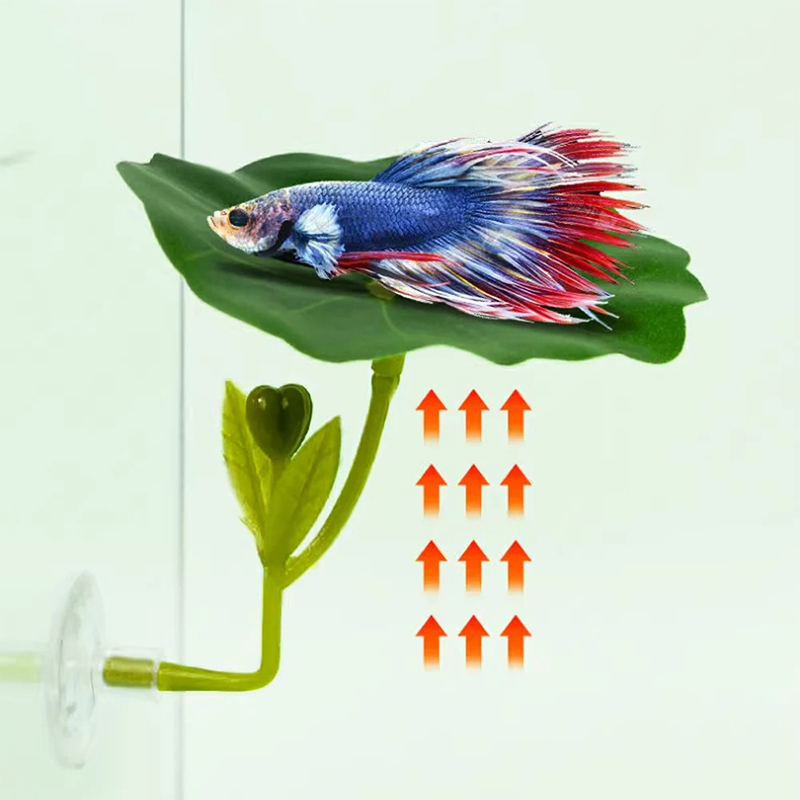 1Pc Green Leaf Hammock For Bet - Planted Aquarium For Betta recension och pris