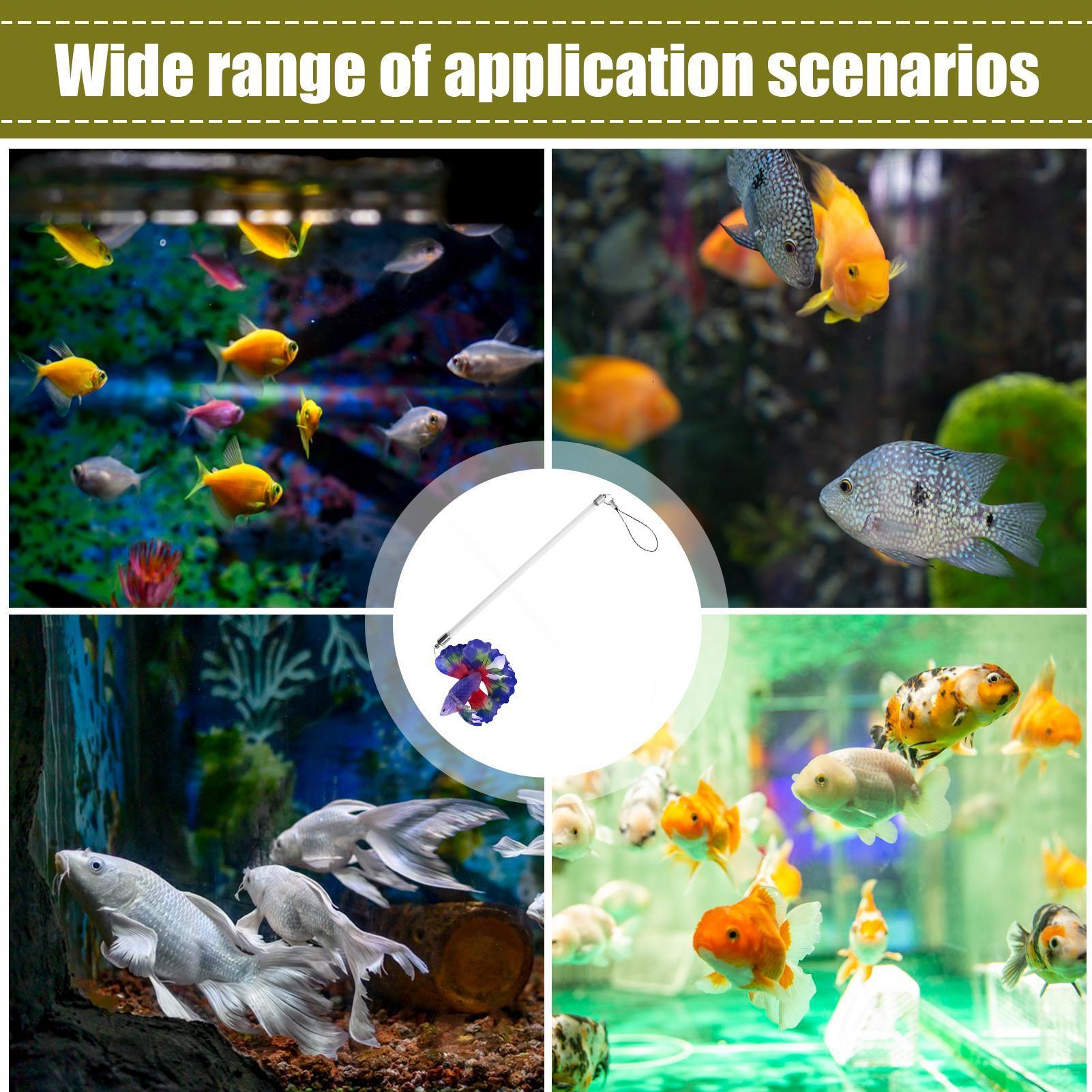Fish Training Wand Realistic A - Planted Aquarium For Beginners recension och pris