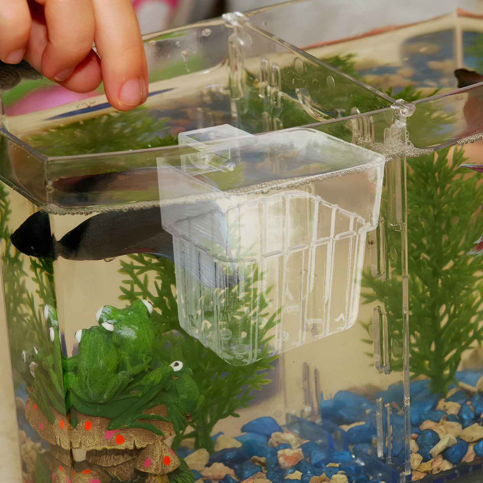 8Pcs Aquarium Planter Cups: Cl - Aquarium Planted Setup recension och pris