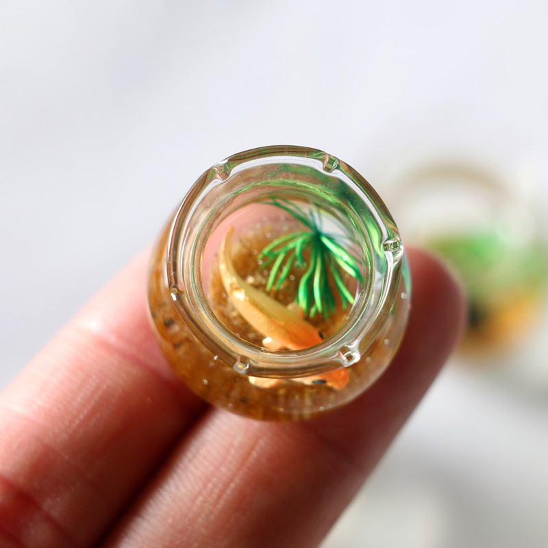 1Pc 1:12 Mini DollHouse Simula - Planted Aquarium Models recension och pris