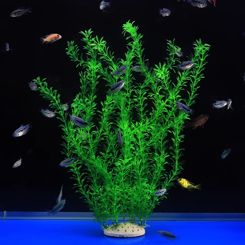 Ilan High Model Large Water Gr - Planted Aquarium Models recension och pris