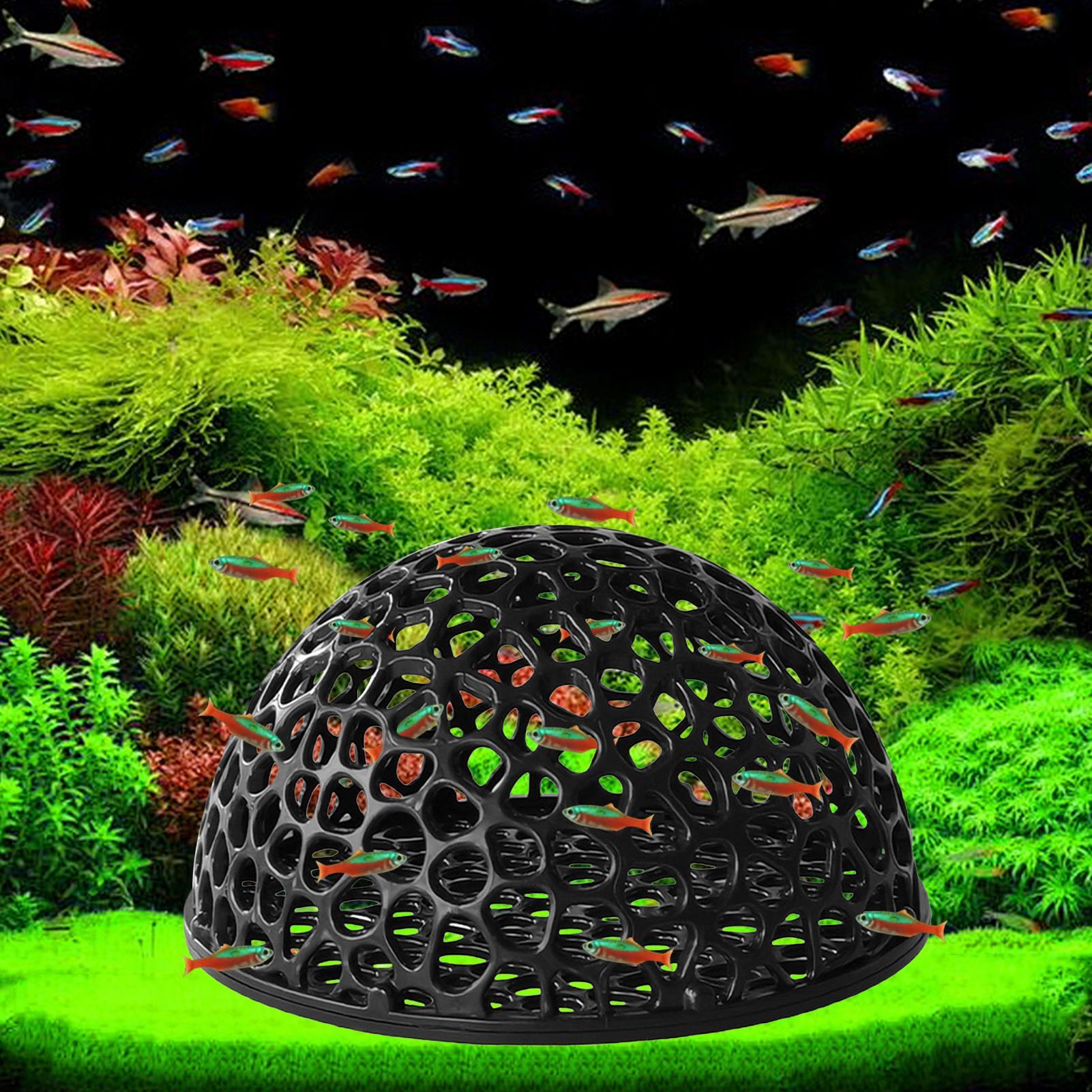 Aquarium shrimp house Cave Min - Aquarium Plant Rings recension och pris