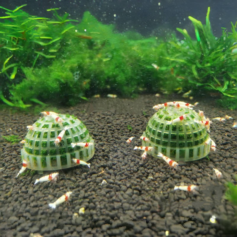 1pc Aquarium Moss Ball Holder, - Planted Aquarium Models recension och pris