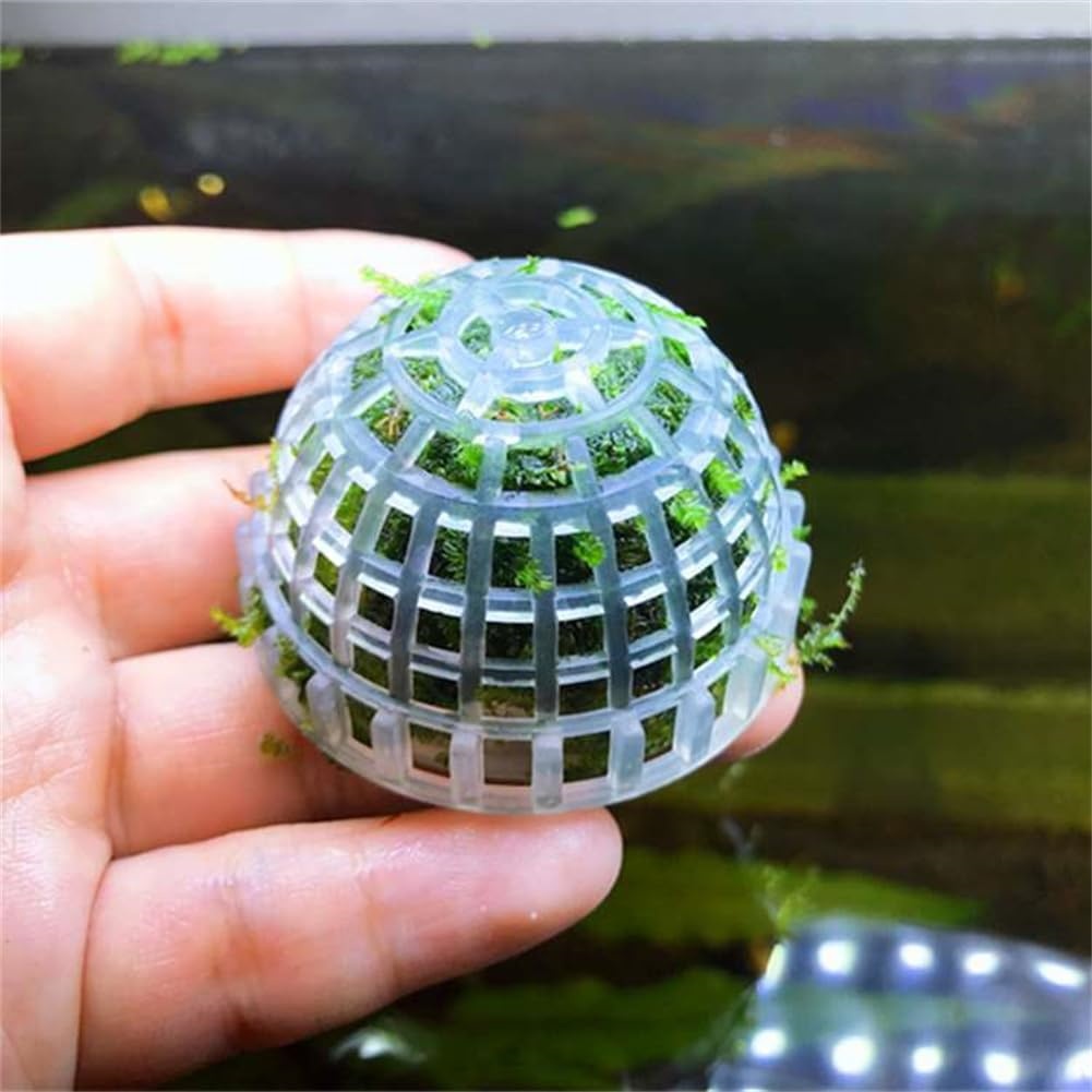 1pc Aquarium Moss Ball Holder, - Planted Aquarium Models recension och pris