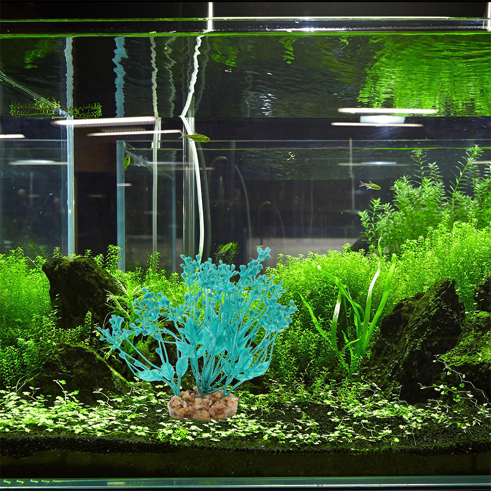 2Pcs Realistic Plastic Aquariu - Planted Aquarium For Betta recension och pris