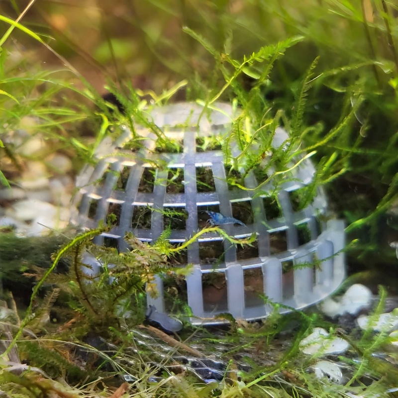 2pc Aquarium Moss Ball Holder, - Planted Aquarium Models recension och pris