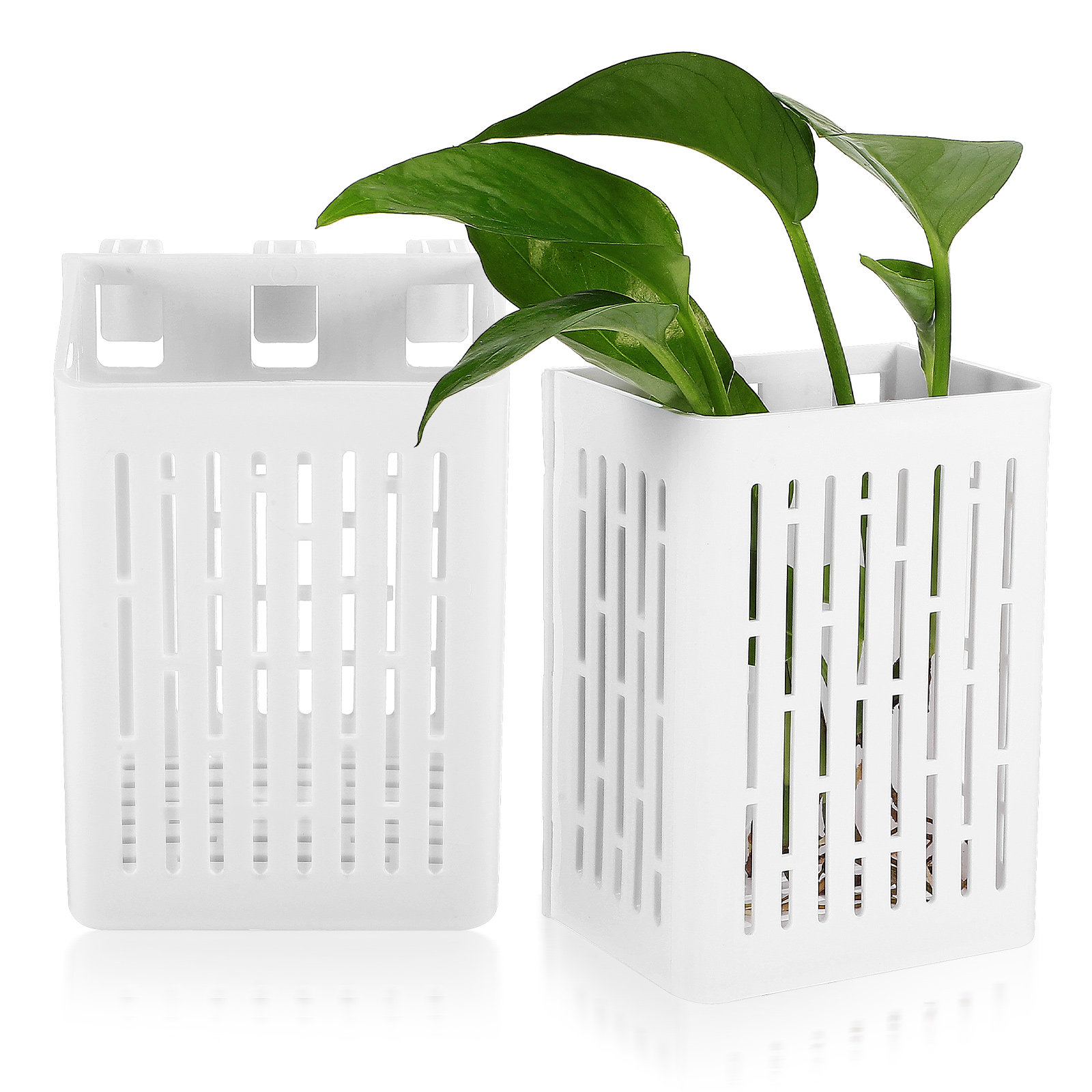 2Pcs Hanging Aquarium Planter  - Aquarium Planted Setup recension och pris