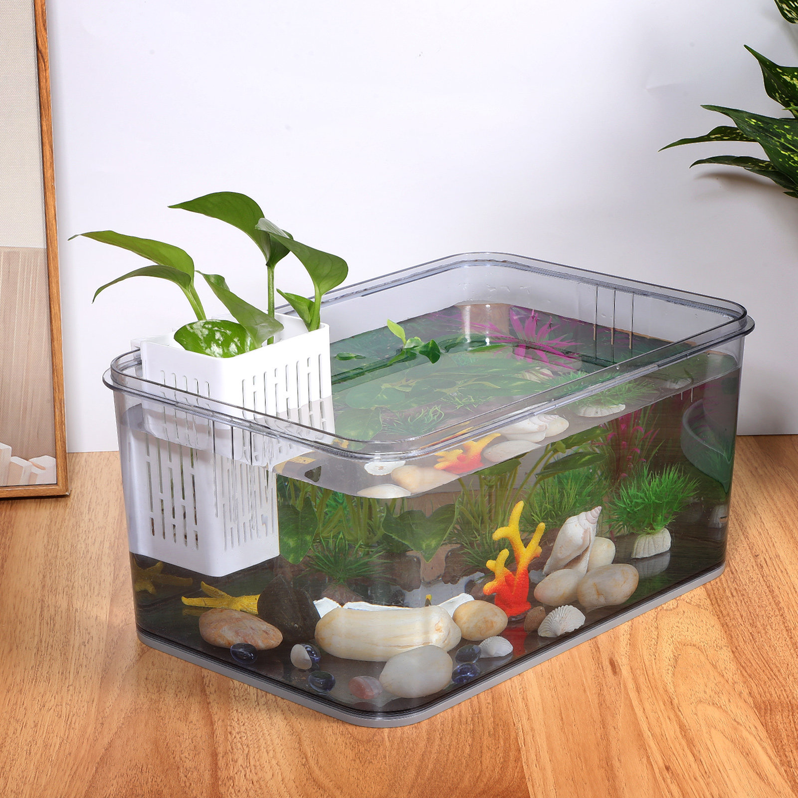 2Pcs Hanging Aquarium Planter  - Aquarium Planted Setup recension och pris
