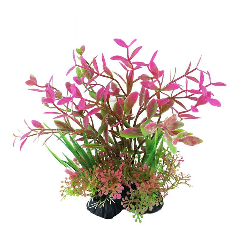 10pcs Factory Price Plastic Fi - Planted Aquarium Price recension och pris